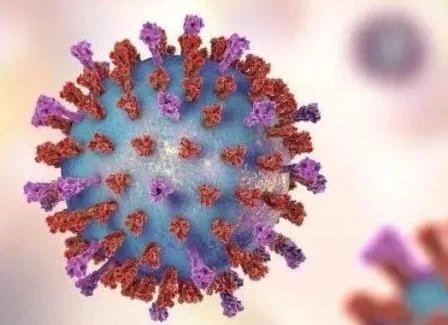 济宁疫情为奥密克戎BA.2.76，该病毒的特点是什么？