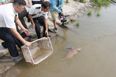 倒卖鱼的纯利润有多少？