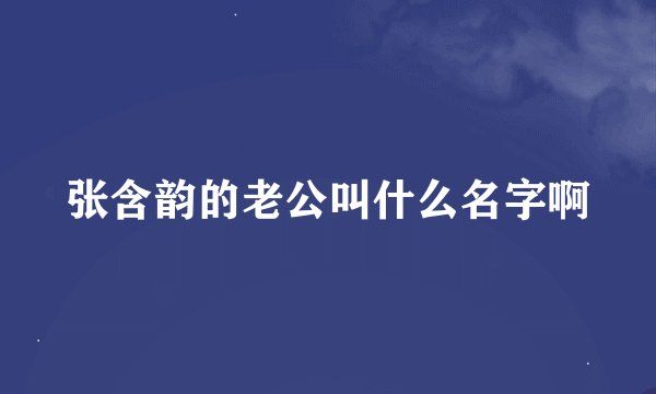 张含韵的老公叫什么名字啊