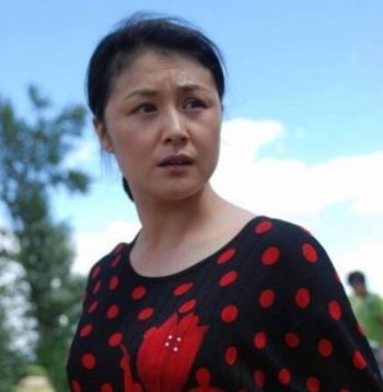 于月仙车祸事故认定为司机负全责，这是为什么？