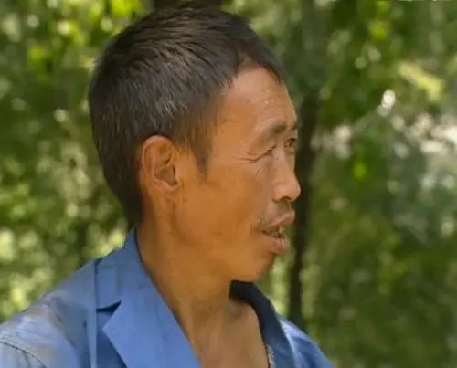 为什么叫《谭谈交通》里运送木材的大爷是“福贵大爷”？