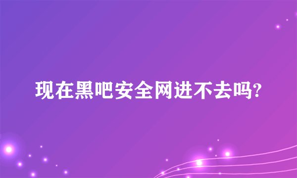 现在黑吧安全网进不去吗?