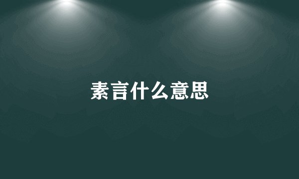 素言什么意思