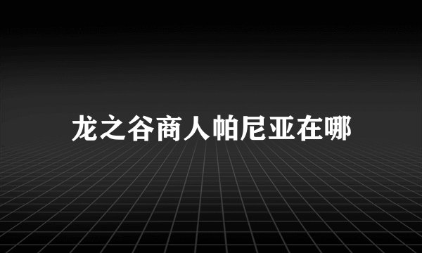 龙之谷商人帕尼亚在哪