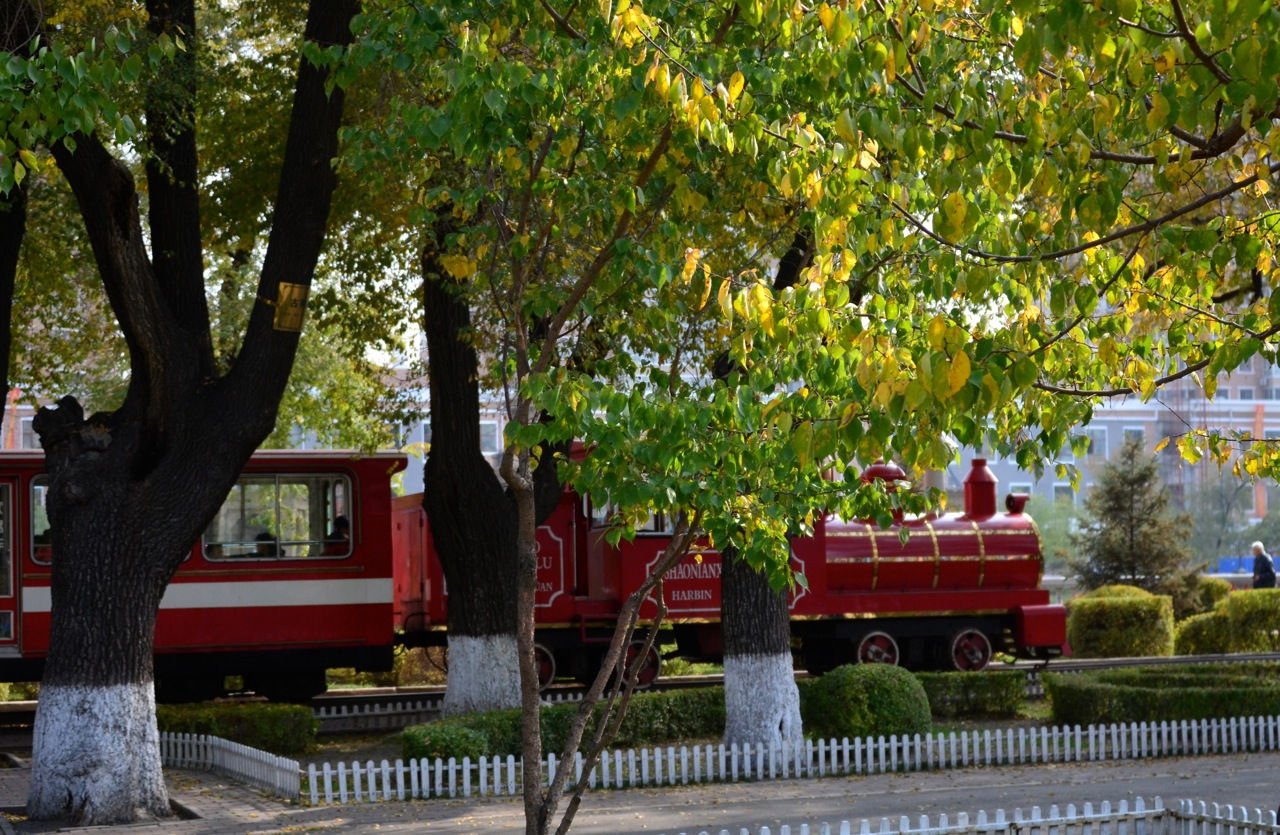 哈尔滨儿童公园的历史