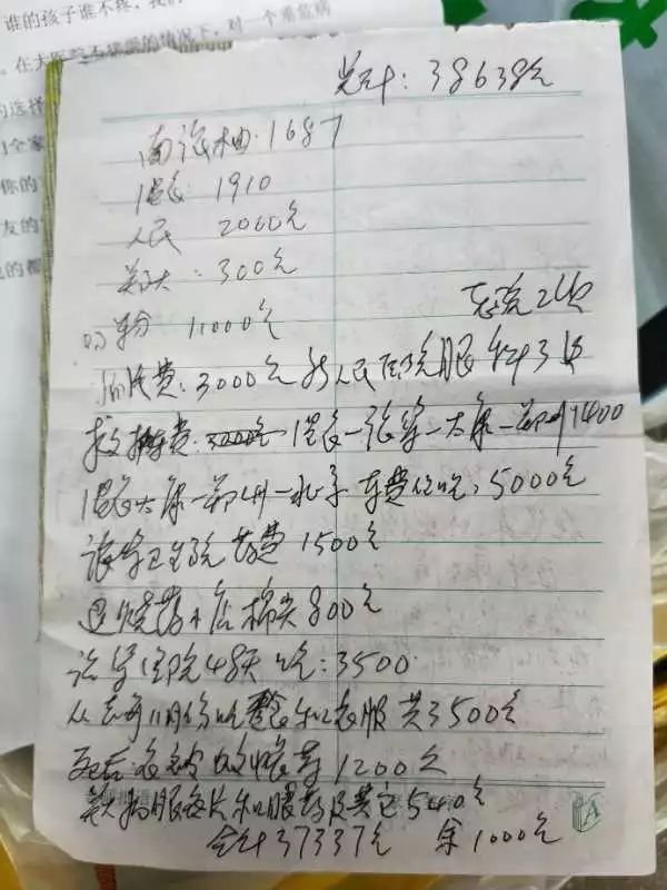 河南眼癌女童王凤雅母亲“诈捐”事件始末是怎样的？