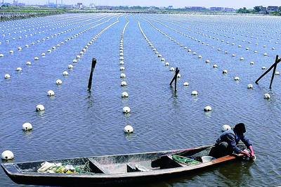 海产养殖会产生什么样的污染？