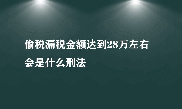偷税漏税金额达到28万左右 会是什么刑法