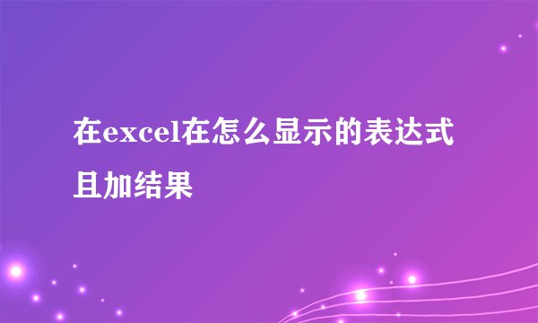 在excel在怎么显示的表达式且加结果