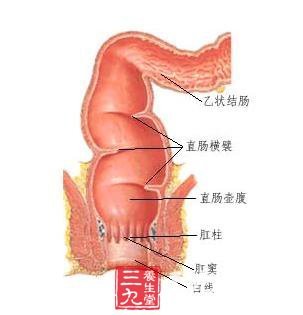 结肠损伤的分类及分级