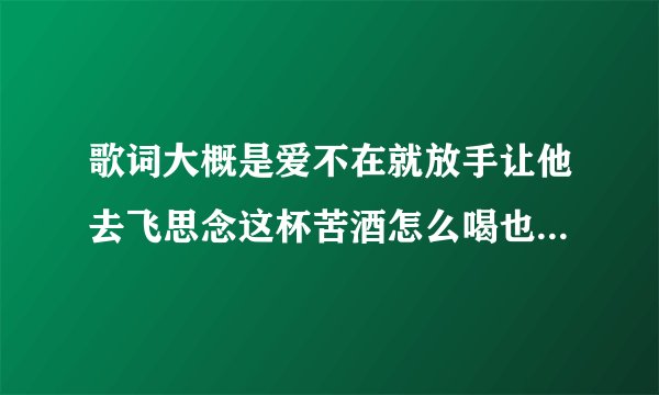 歌词大概是爱不在就放手让他去飞思念这杯苦酒怎么喝也不醉是什么歌