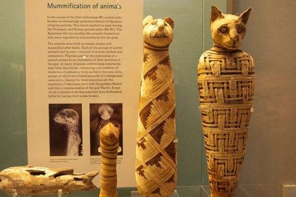 我们有没有可能一直生活在外星人的监视之中呢,为什么?