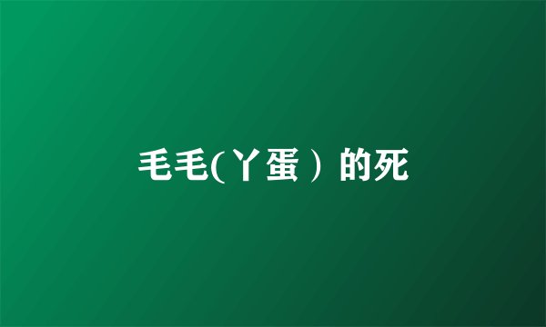 毛毛(丫蛋）的死