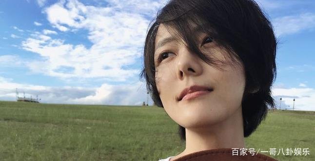 杨乐乐成被强制执行人,本人和被告公司已经发出回应了,究竟是怎么一回事?