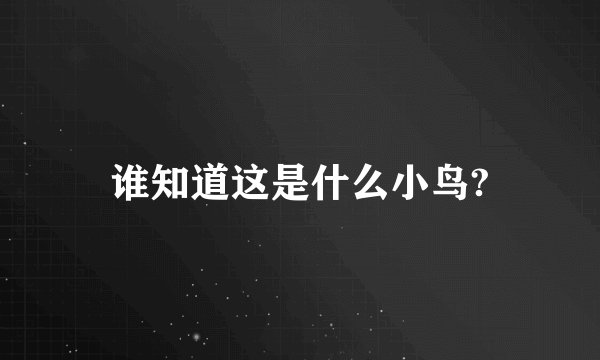 谁知道这是什么小鸟?