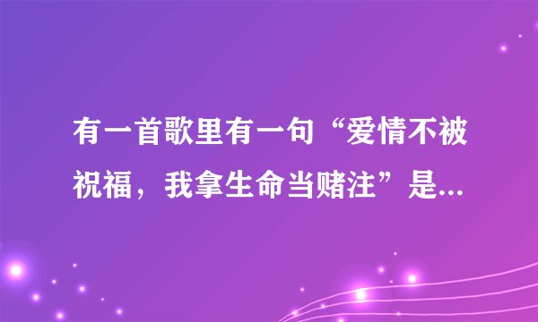 有一首歌里有一句“爱情不被祝福，我拿生命当赌注”是什么歌？