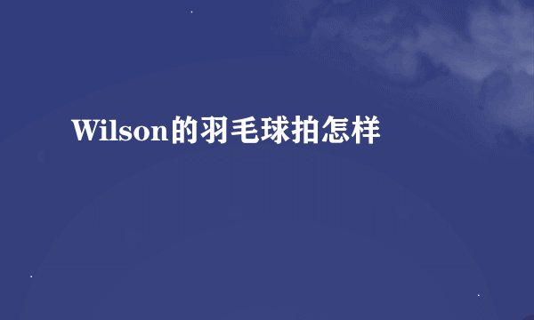 Wilson的羽毛球拍怎样