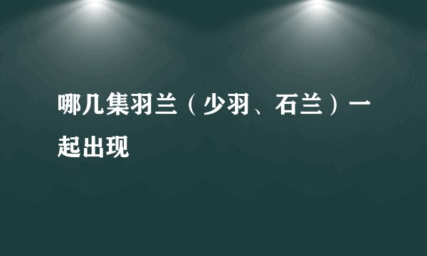 哪几集羽兰（少羽、石兰）一起出现