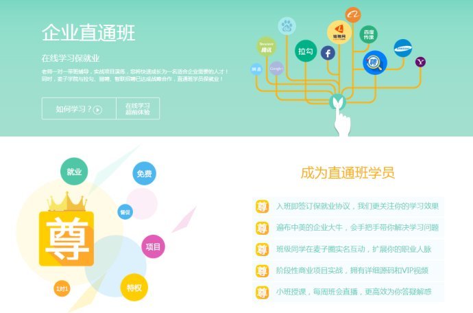 都听说过麦子学院吗？怎么样