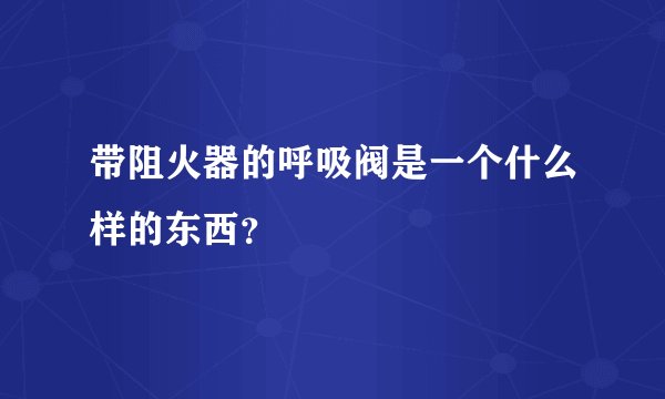 带阻火器的呼吸阀是一个什么样的东西？