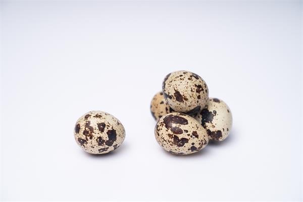 鹌鹑蛋家常做法,正宗鹌鹑蛋怎么做