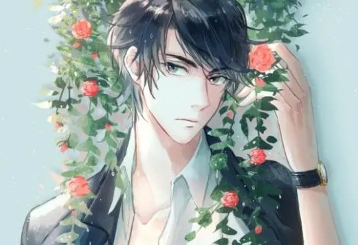 明药的全部小说名字