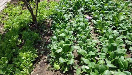 坝上草原的住宿条件怎么样？