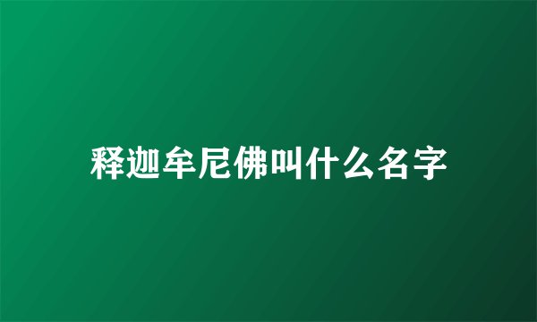 释迦牟尼佛叫什么名字
