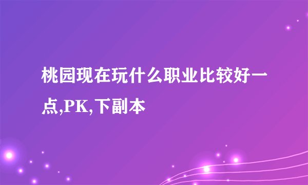 桃园现在玩什么职业比较好一点,PK,下副本