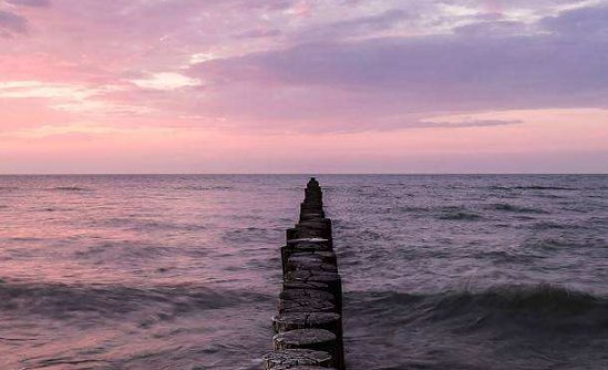 女生说上岸是什么梗？