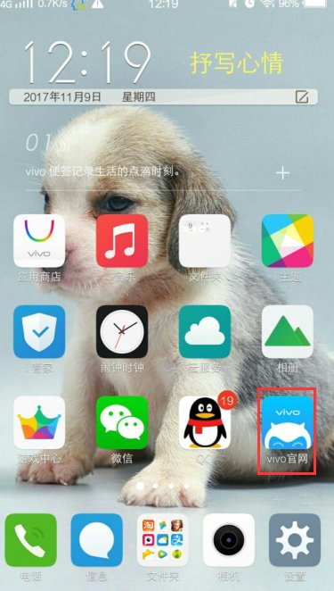 vivo官方旗舰店买了东西的V币是干嘛用的