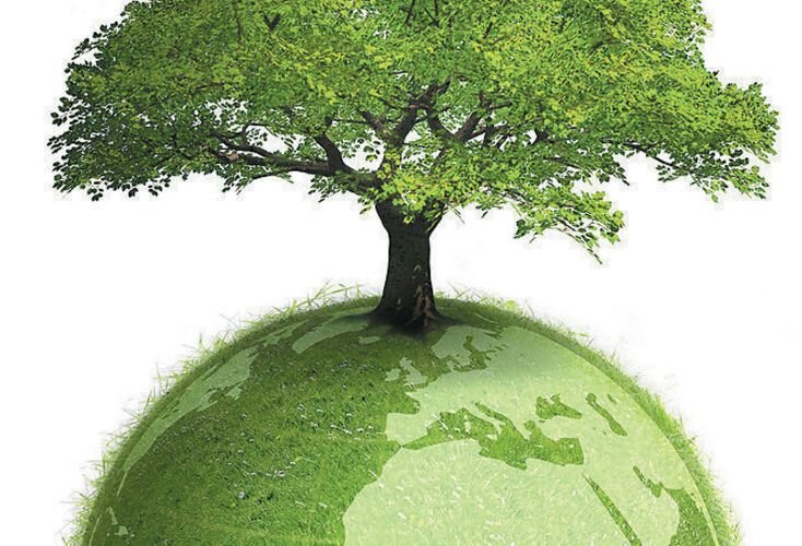 新时代如何推进生态文明建设？