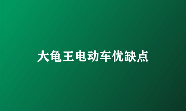 大龟王电动车优缺点