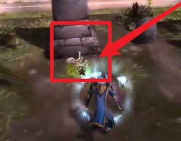 WOW墓地苔/枯叶草那里最多？