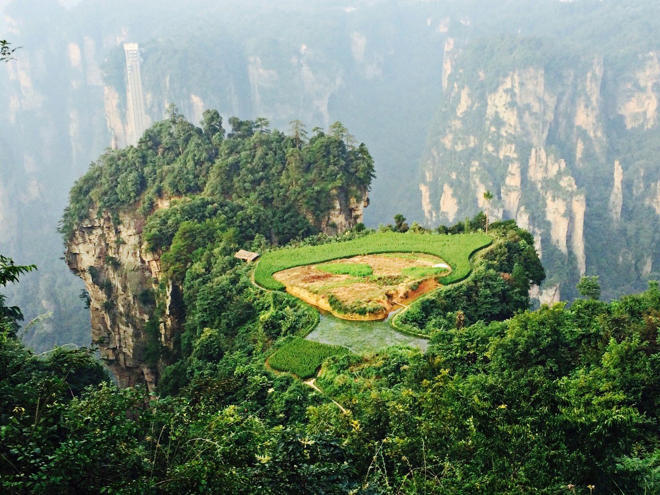 张家界A级景区门票向全国游客半价，这个优惠有吸引到游客们吗？