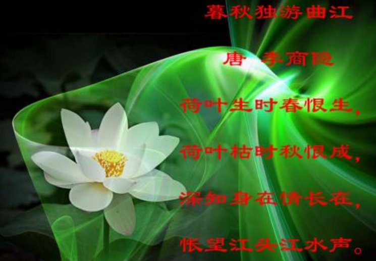 荷叶生时春恨生，荷叶枯时秋恨成。深知身在情长在，怅望江头江水声。这首诗的题目和意思