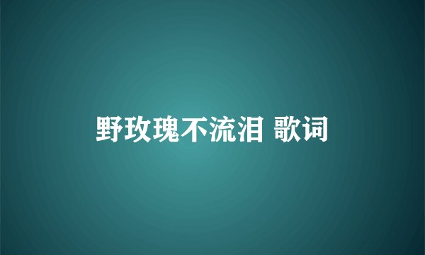 野玫瑰不流泪 歌词