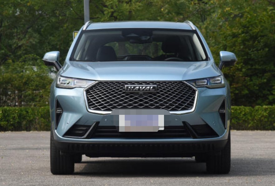 19年全新哈弗h6互联网怎么交费