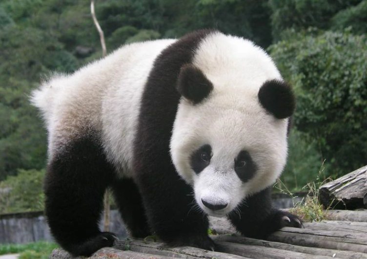 王朗自然保护区 命名原因