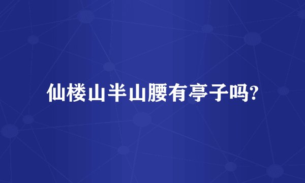仙楼山半山腰有亭子吗?