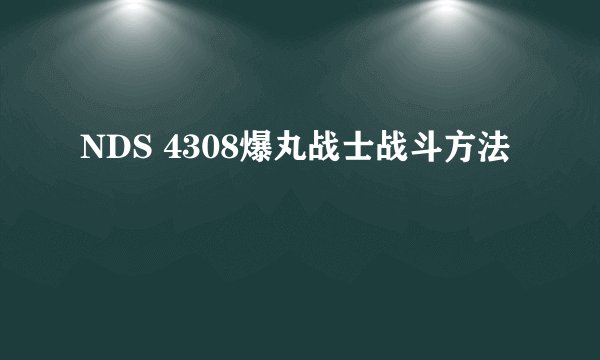 NDS 4308爆丸战士战斗方法