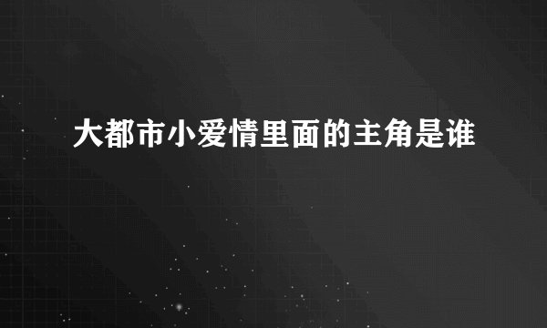 大都市小爱情里面的主角是谁