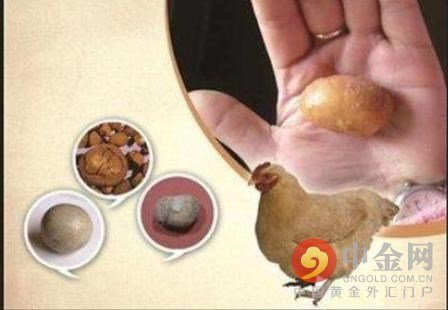 鸡宝长啥样，有没有市场价？