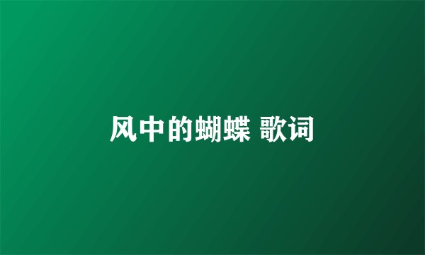 风中的蝴蝶 歌词
