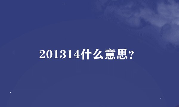 201314什么意思？