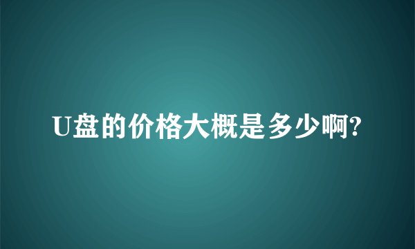 U盘的价格大概是多少啊?