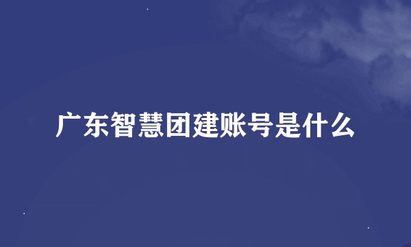 广东智慧团建账号是什么