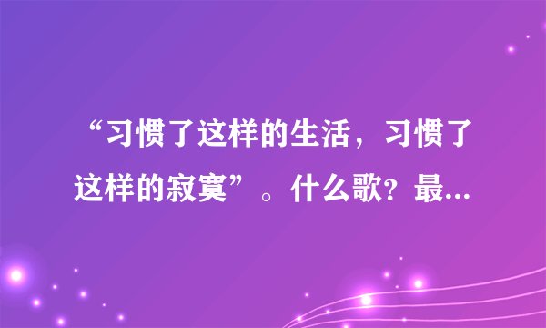 “习惯了这样的生活，习惯了这样的寂寞”。什么歌？最好带上全部歌词。