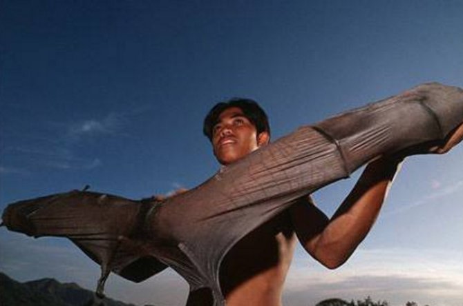 大量蝙蝠涌入澳大利亚城镇，强到可以咬断人喉咙吗?