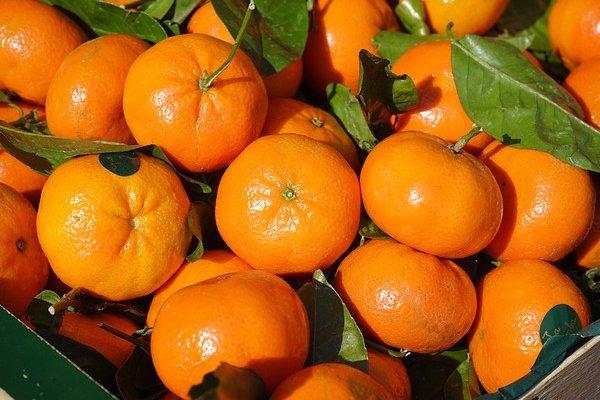 浙大博士生和蜜橘商家的聊天记录曝光，他们之间说了些什么？